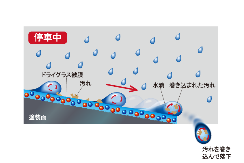 QMIドライグラス たっとし