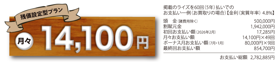 ライズお支払い詳細