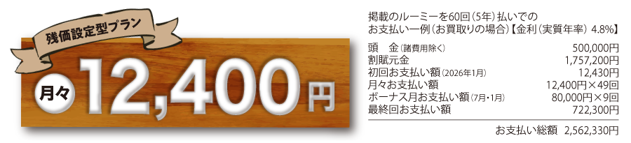 ルーミーお支払い詳細