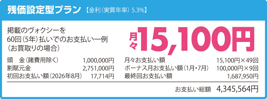 ヴォクシー詳細